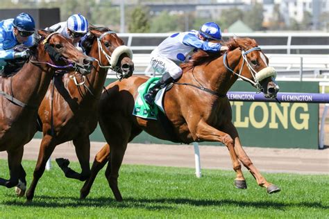 kewney stakes|2024 Kewney Stakes Field & Odds .